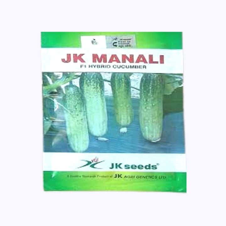 JK Manali Cucumber Seeds