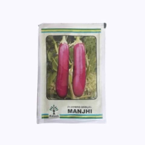 Kalash Manjhi F1 Hybrid Brinjal Seeds - 10 gm