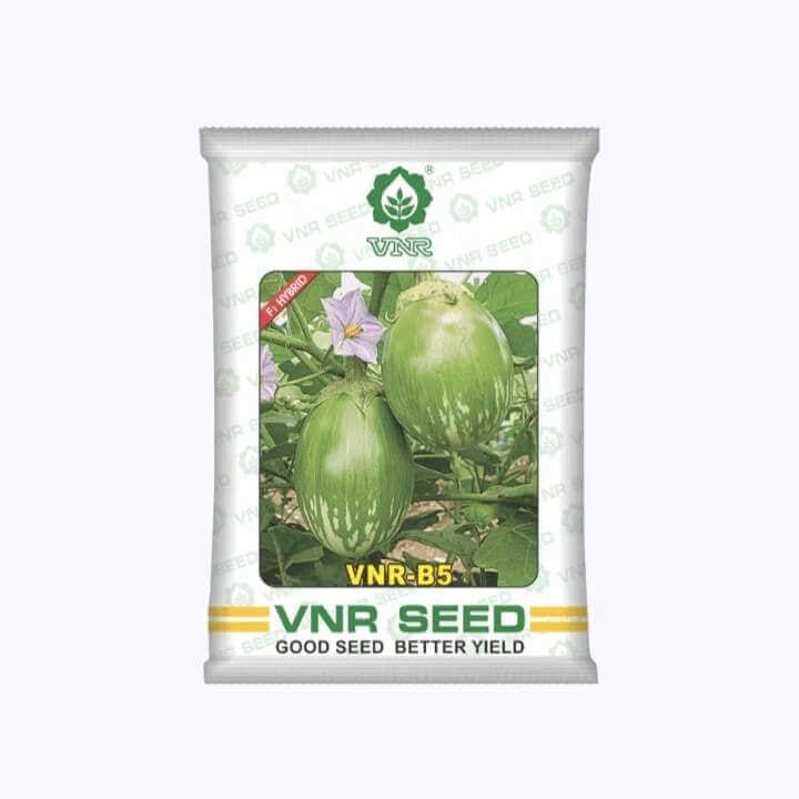 VNR B-5 Brinjal Seeds