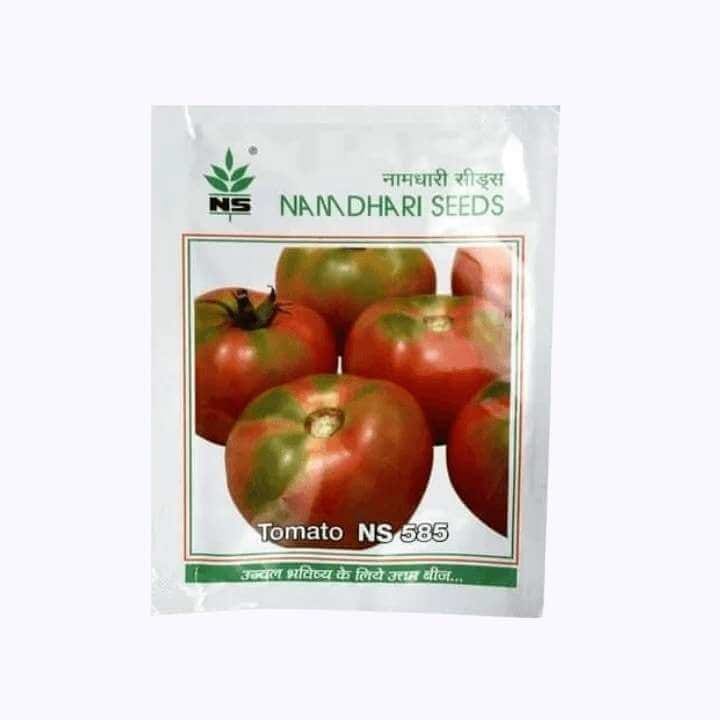 Namdhari  NS-585 Tomato seeds