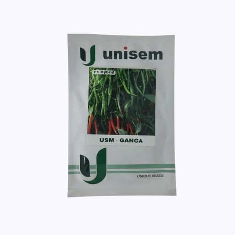 Unisem Ganga F1 Hybrid Chilli Seeds - 10 gm