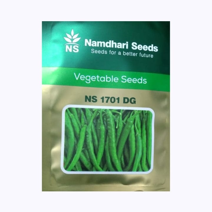 నామ్ధారి NS 1701 (ద్వంద్వ ప్రయోజనం) మిరప విత్తనాలు