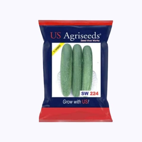 US Agriseeds SW 224 Cucumber Seeds