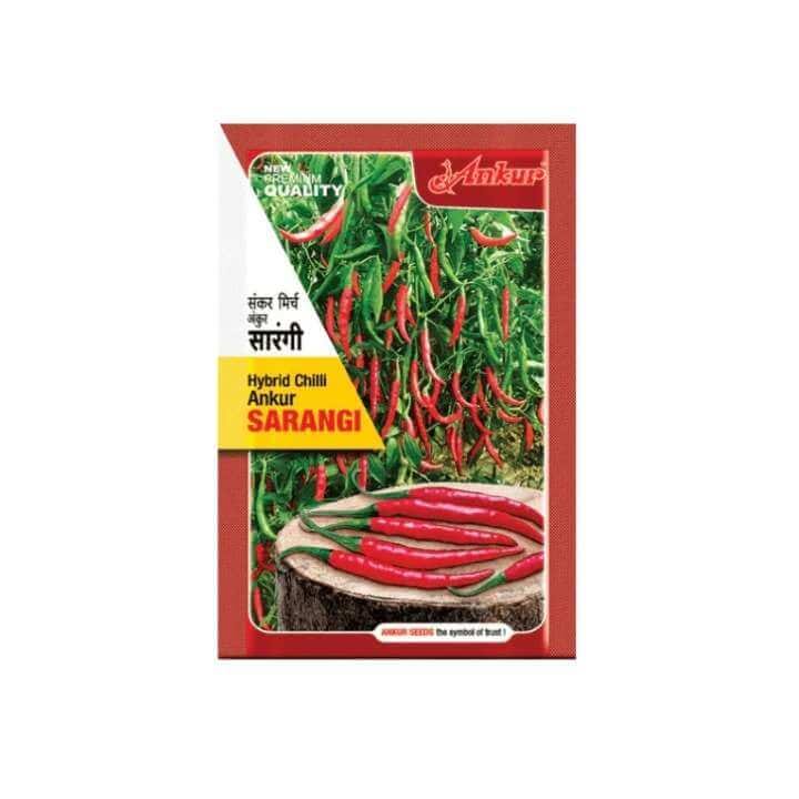 Ankur Sarangi Hybrid Chilli Seeds - 10 gm