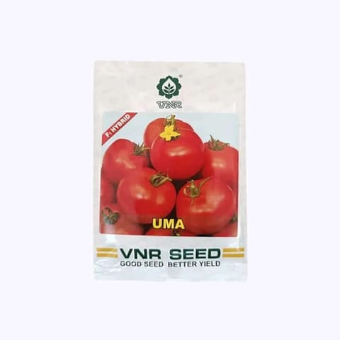 VNR UMA Tomato Seed