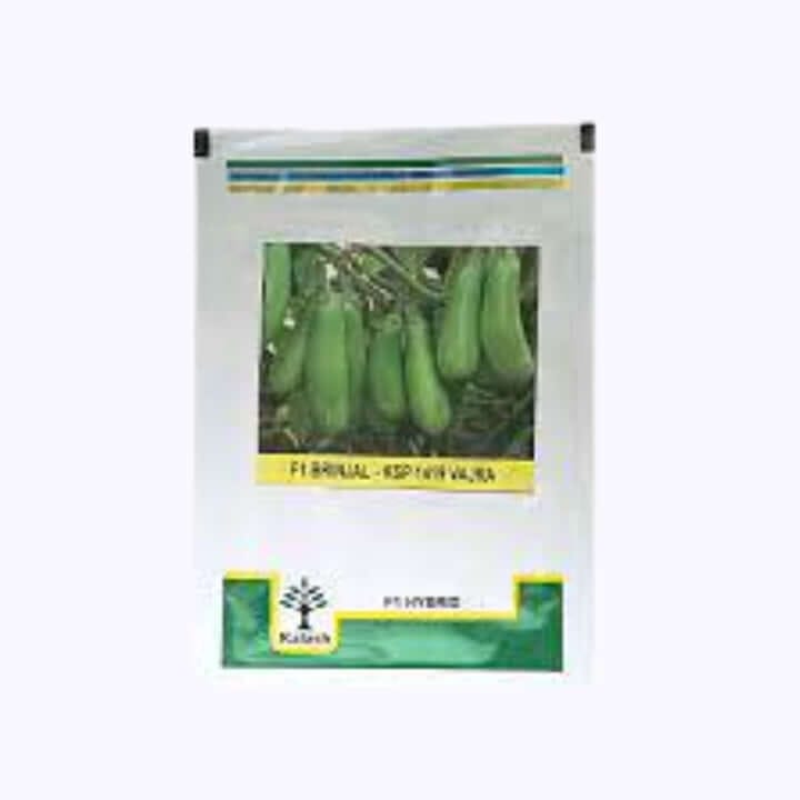 Kalash Vajra (KSP 1419) F1 Hybrid Brinjal Seeds - 10 gm