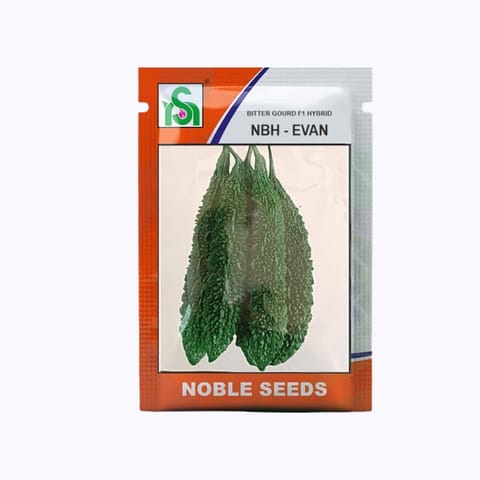 Noble NBH EVAN F1 Hybrid Bitter Gourd Seeds