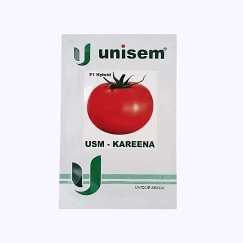 Unisem USM Kareena F1 Hybrid Tomato Seeds - 10g
