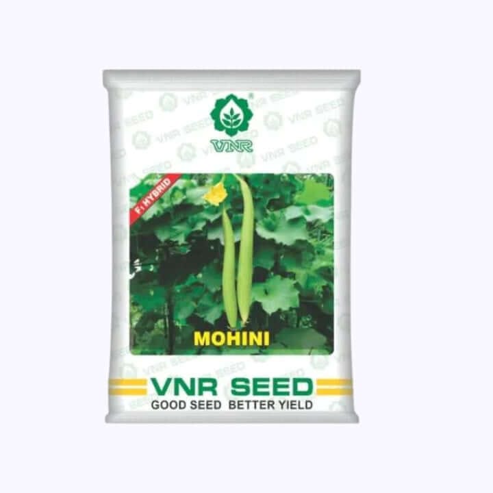 VNR Mohini F1 Hybrid Sponge Gourd Seeds - 10g