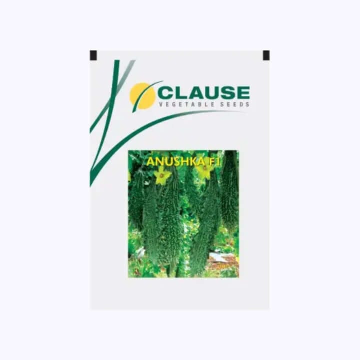 Clause Anushka F1 Hybrid Bitter Gourd Seeds - 10 gm