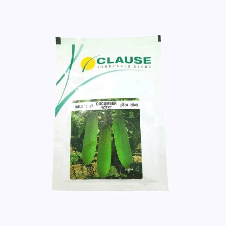Clause Twelve Leaves Cucumber Seeds - 25g