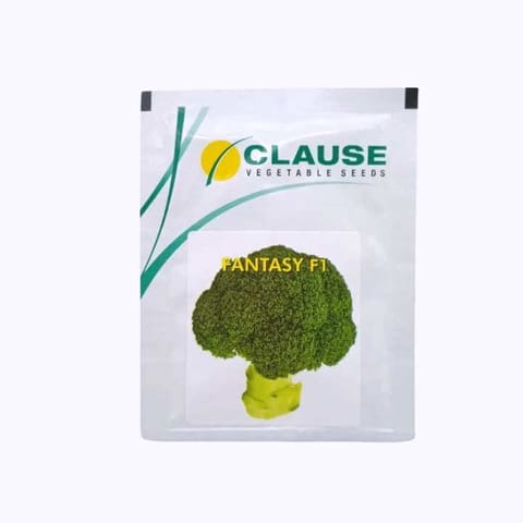 Clause Fantasy F1 Hybrid Broccoli Seeds
