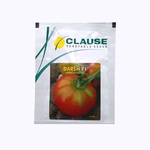 Clause Darsh (HMC610218) F1 Hybrid Tomato Seeds - 10 gm