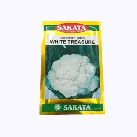 Sakata White Treasure F1 Hybrid Cauliflower Seeds - 10g