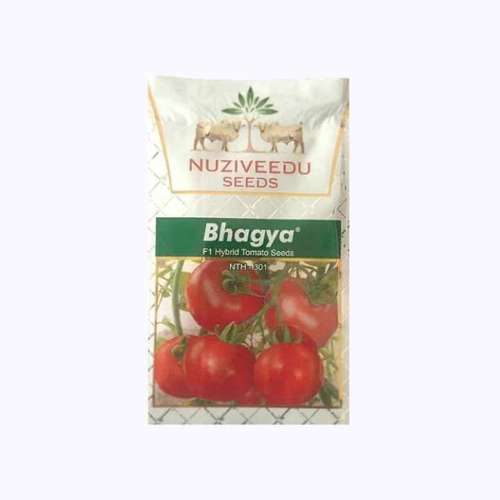 Nuziveedu Bhagya F1 Hybrid Tomato Seeds