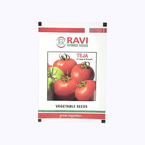 Ravi Teja F1 Hybrid Tomato Seeds