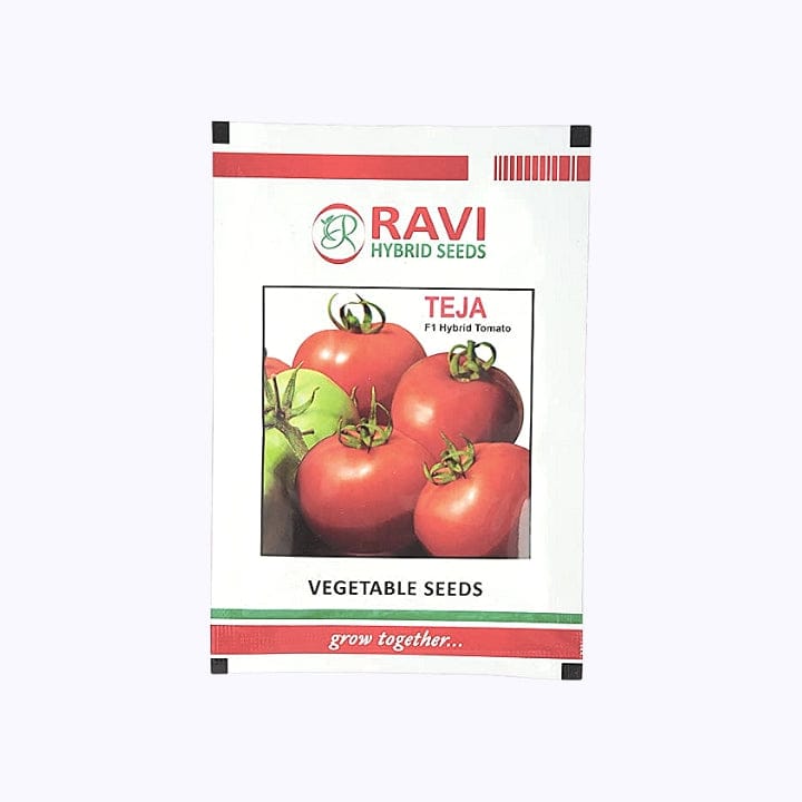 Ravi Teja F1 Hybrid Tomato Seeds