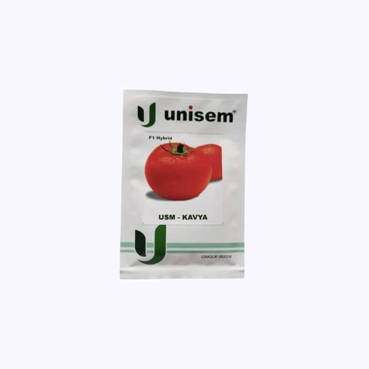 Unisem Kavya Tomato Seeds