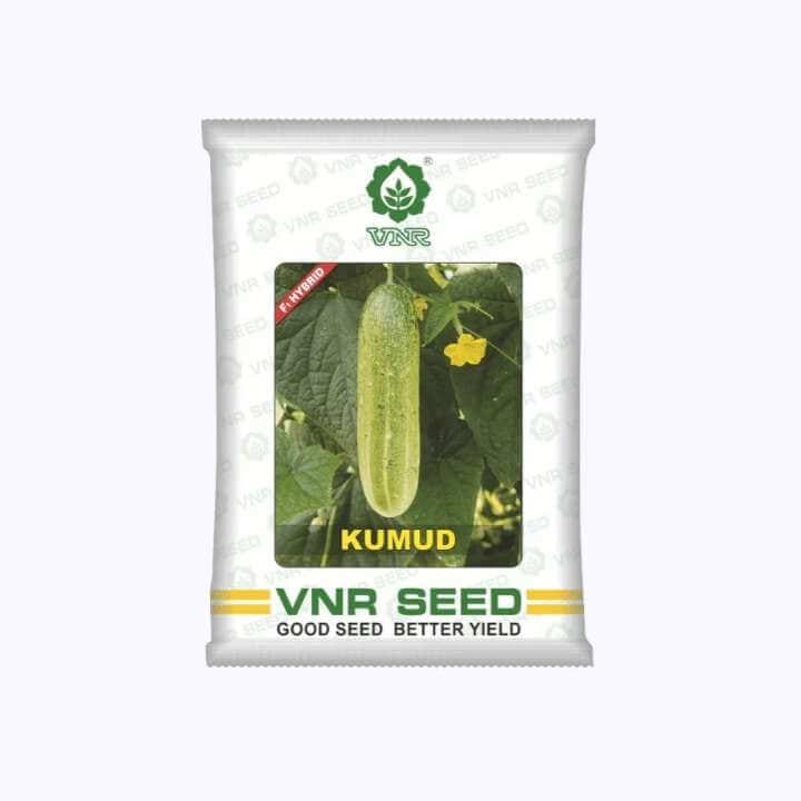 VNR కుముద్ దోసకాయ విత్తనాలు