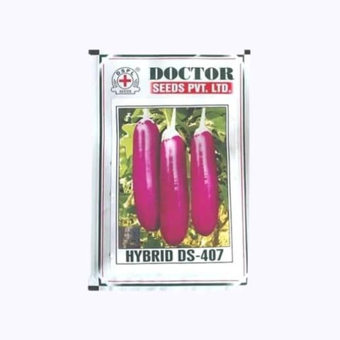 Doctor DS-407 Brinjal Seeds