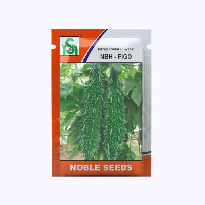 Noble NBH-Figo Bitter Gourd Seeds