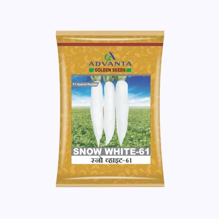 Advanta Snow White-61 Radish Seeds