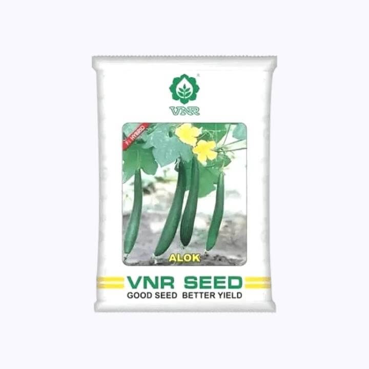 VNR Alok Sponge Gourd Seeds