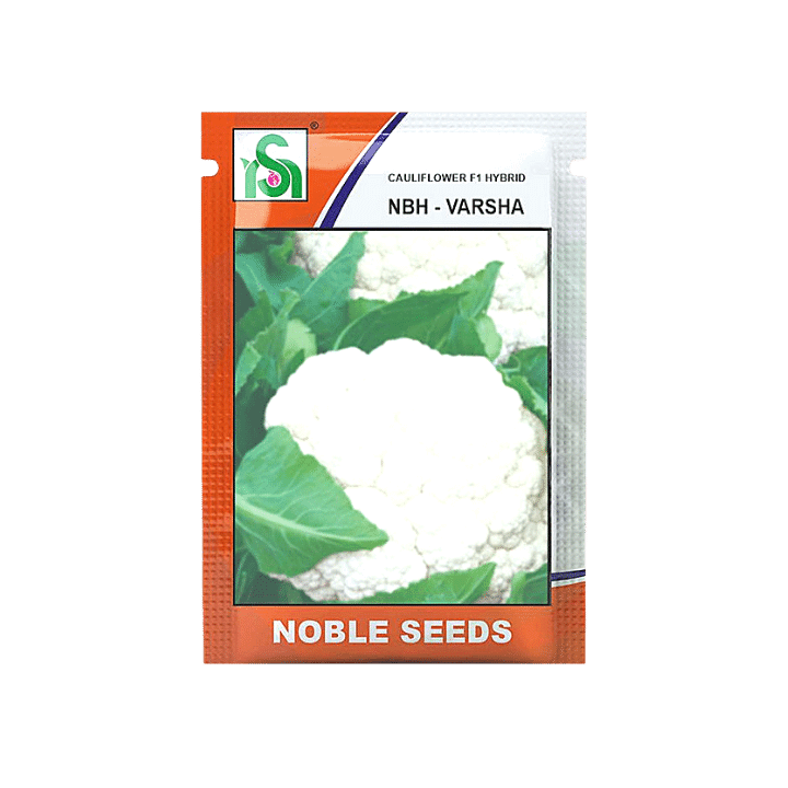 Noble NBH - Varsha Cauliflower Seeds