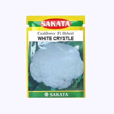 Sakata White Crystal Cauliflower -10gm