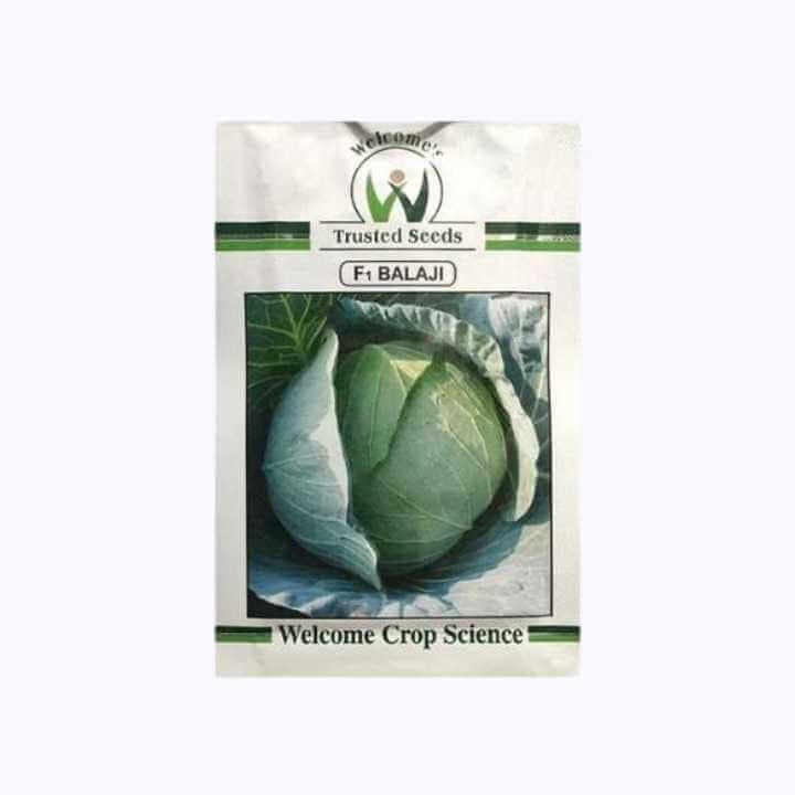 Welcome F1 Balaji Cabbage Seeds - 10g