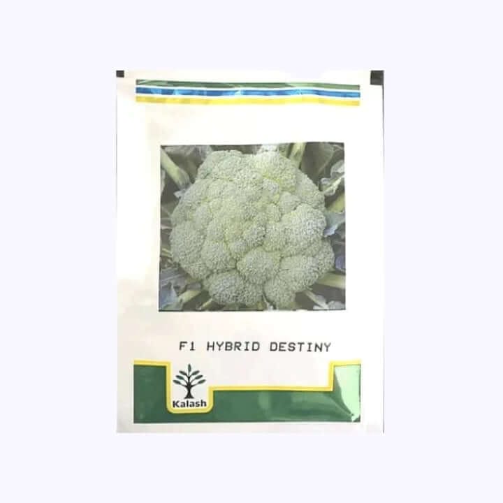 Kalash F1 Hybrid Destiny Broccoli Seeds