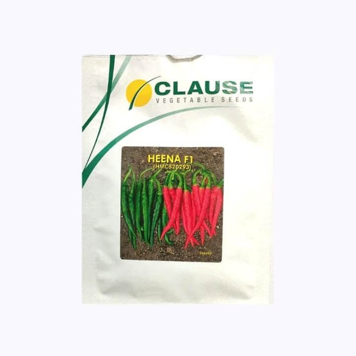 Clause Heena F1 Hybrid Chilli Seeds