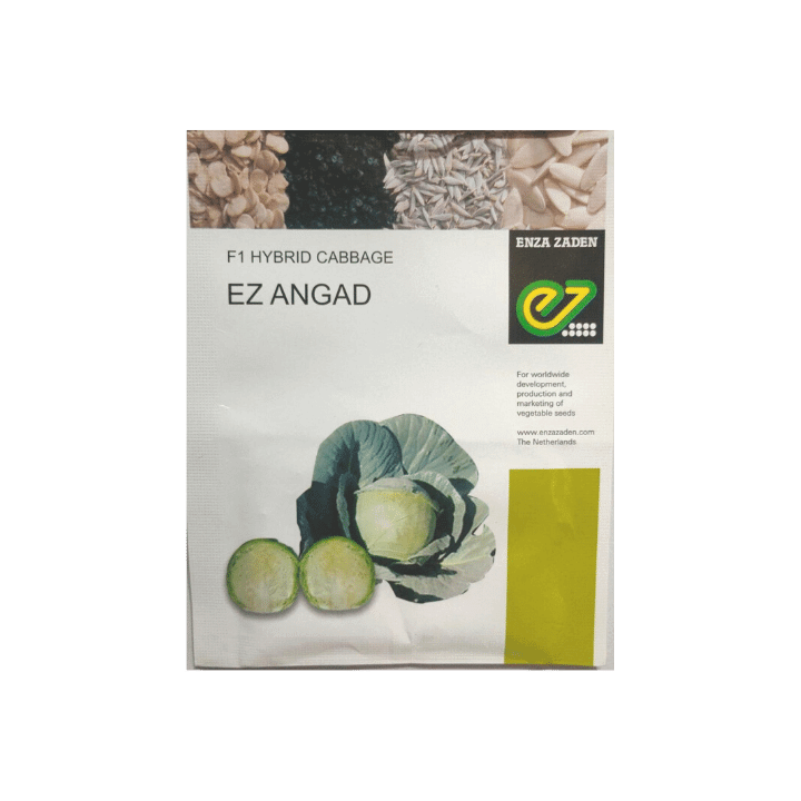 Enza Zaden EZ Angad Cabbage Seeds