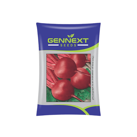 Gennext Beetroot Red Express-505 Seeds