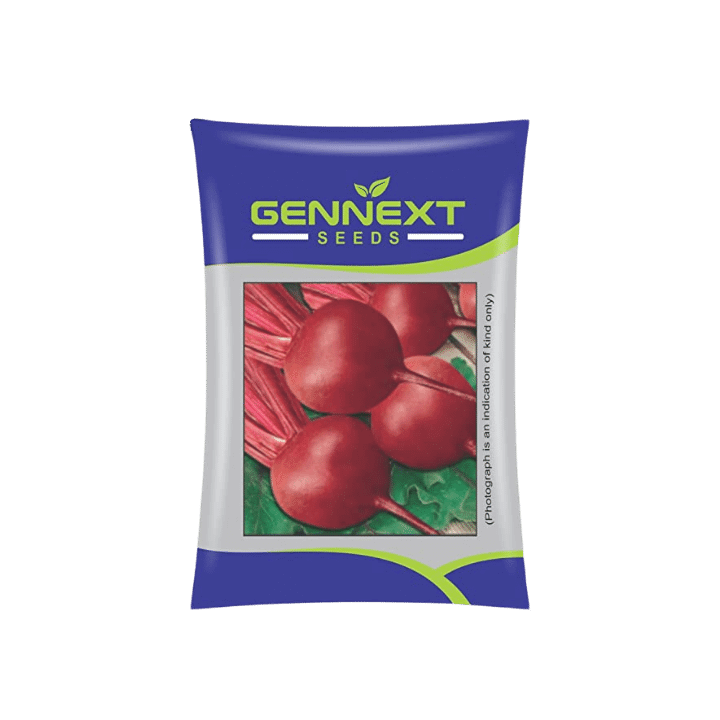 Gennext Beetroot Red Express-505 Seeds