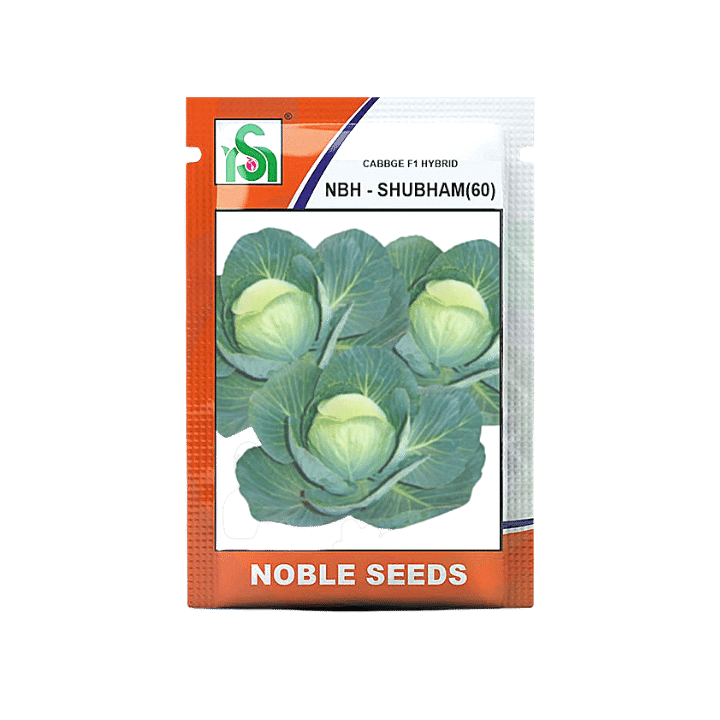 Noble NBH Subham-60 Cabbage Seeds