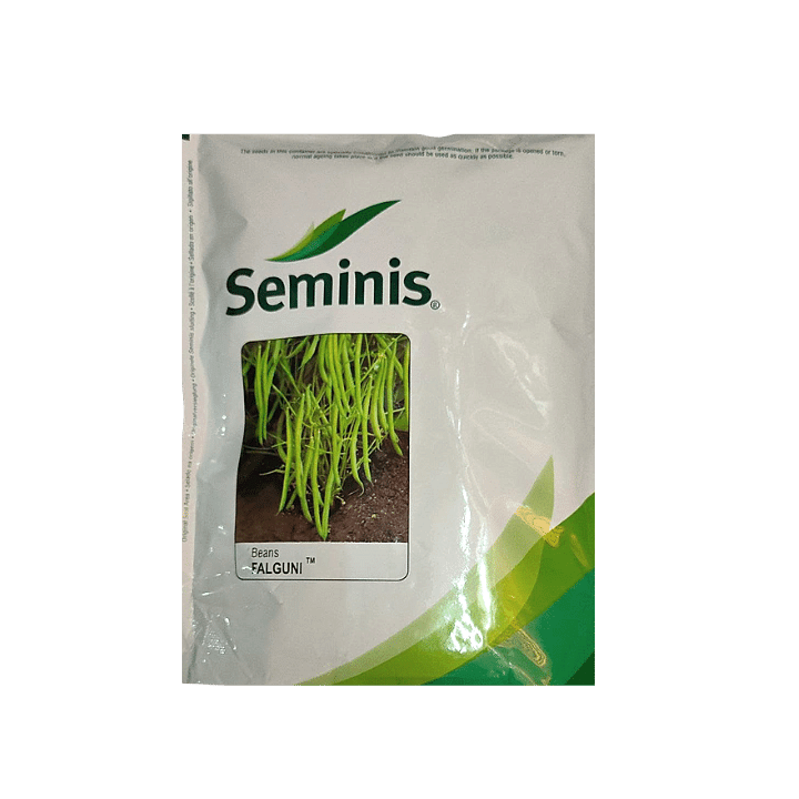 Seminis Falguni Beans Seeds