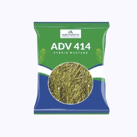 Advanta ADV 414 Hybrid Mustard Seeds