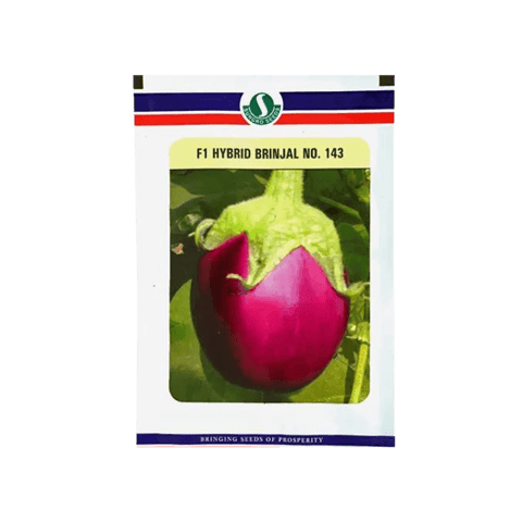 Sungro Brinjal No. 143 Seeds