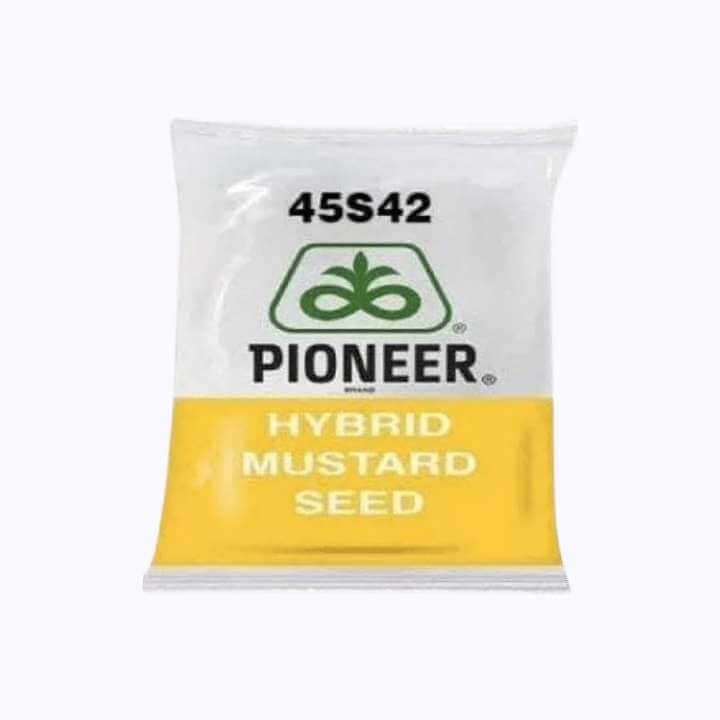 Pioneer 45S42 Mustard Seeds