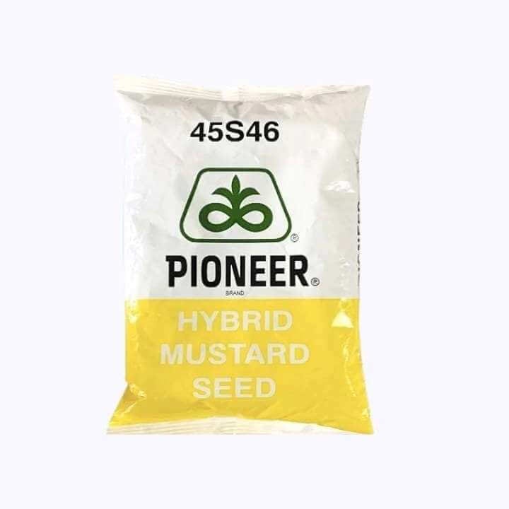 Pioneer 45S46 Mustard Seeds