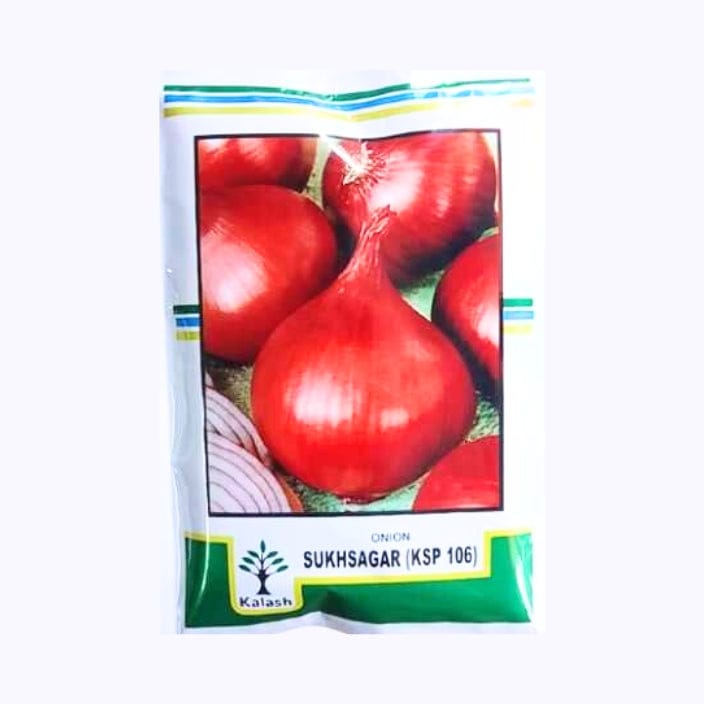 Kalash Sukhsagar (KSP 106) Onion Seeds