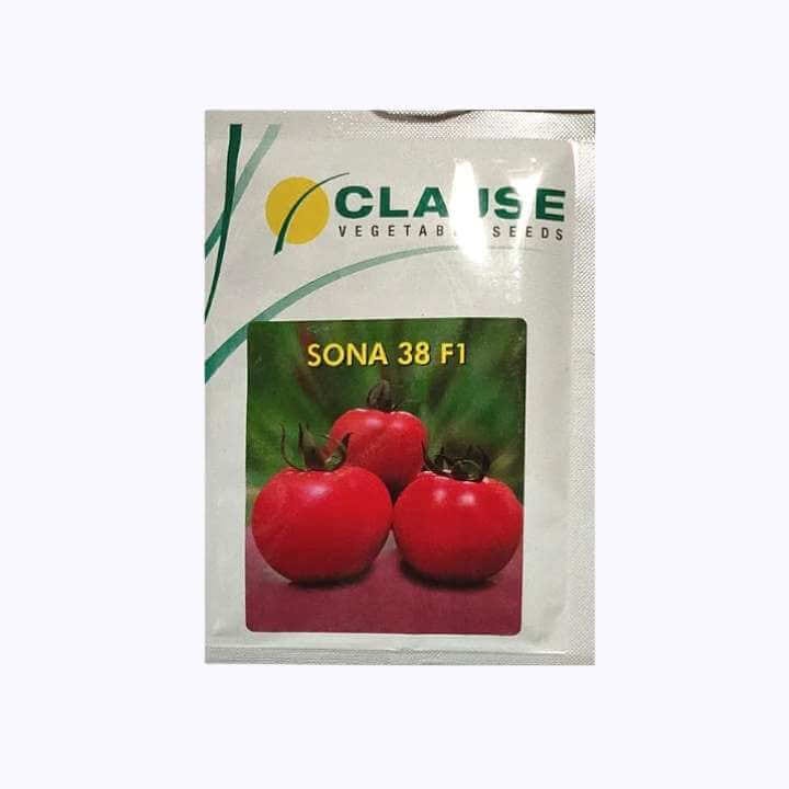 Clause Sona 38 Tomato Seeds