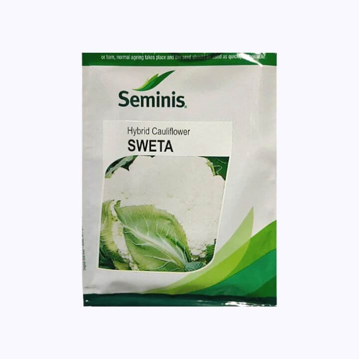 Seminis Sweta Cauliflower Seeds
