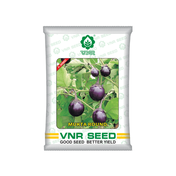 VNR Mukta Round Brinjal Seeds