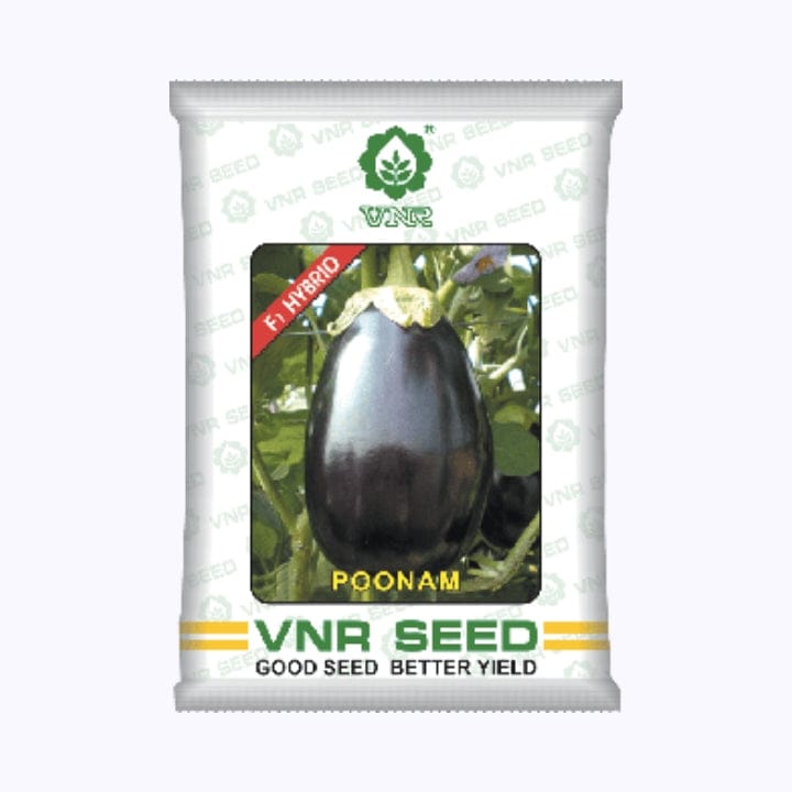 VNR పూనమ్ వంకాయ విత్తనాలు
