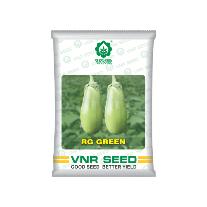 VNR RG - Green Brinjal Seeds