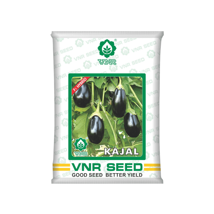 VNR Kajal Brinjal Seeds