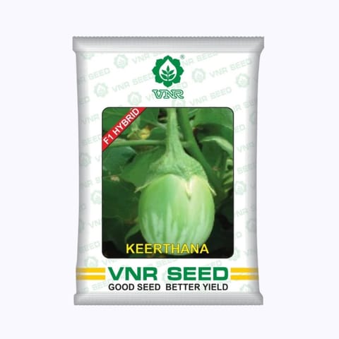 VNR Keerthana Brinjal Seeds
