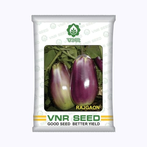 VNR Rajgaon Brinjal Seeds